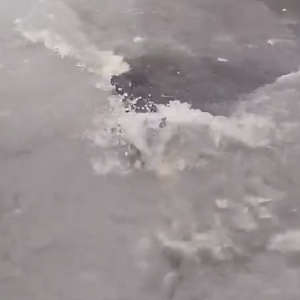 Agua vuelve a afectar tramo asfaltado en la calle Héctor P. Quezada